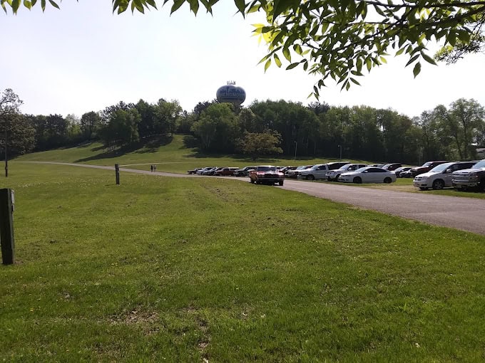 Placeholder Select Dynamic field